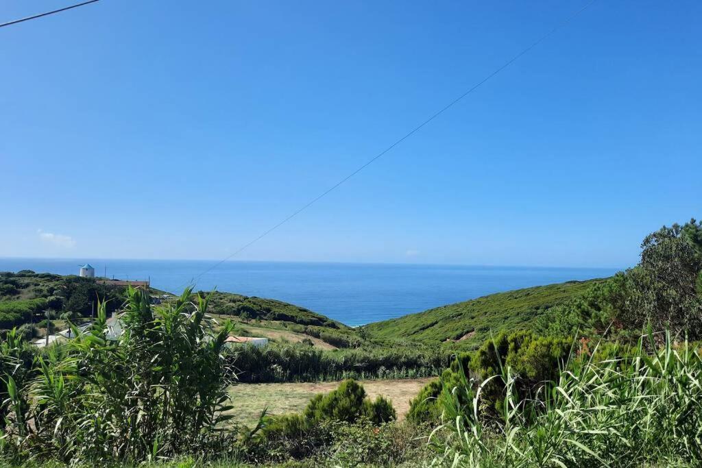 Sunflower Sea View With Magnificent Terrace In Serra Da Pescaria, Nazare - Portugal Екстер'єр фото