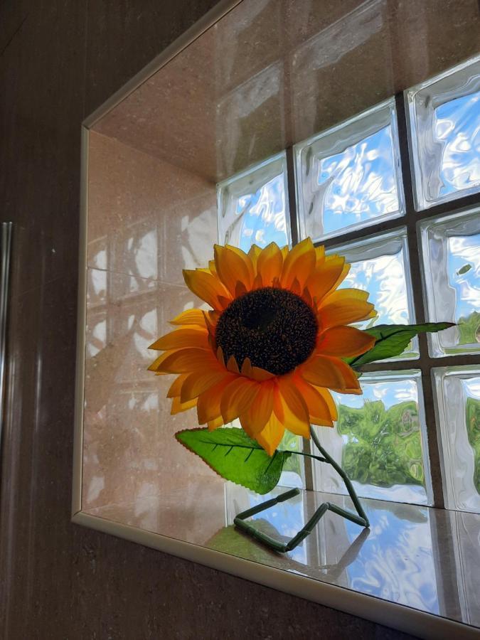 Sunflower Sea View With Magnificent Terrace In Serra Da Pescaria, Nazare - Portugal Екстер'єр фото