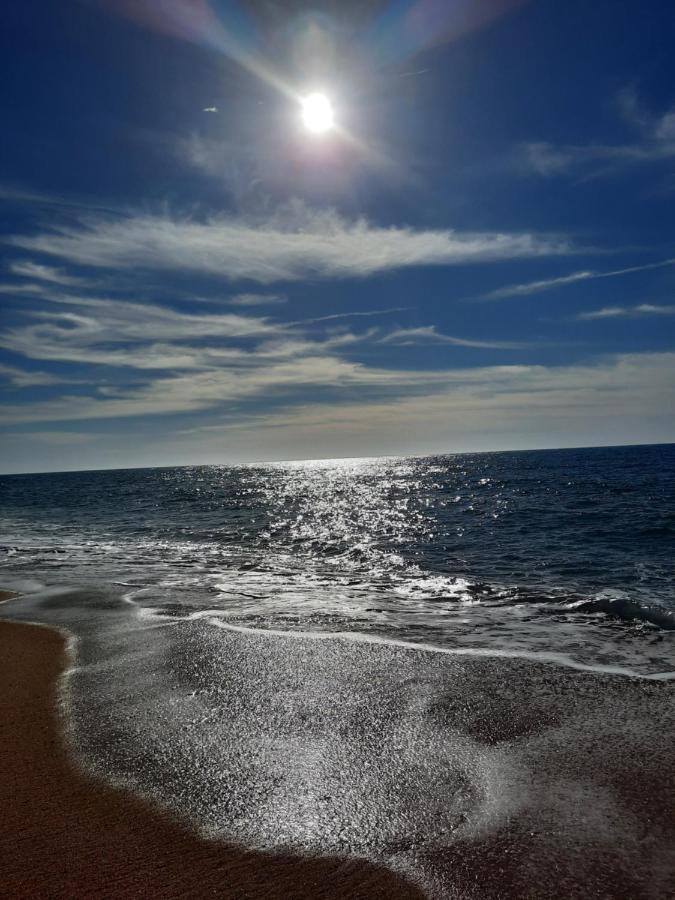 Sunflower Sea View With Magnificent Terrace In Serra Da Pescaria, Nazare - Portugal Екстер'єр фото